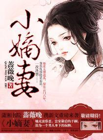 小嫡妻封面