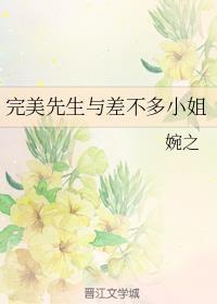 完美先生与差不多小姐封面