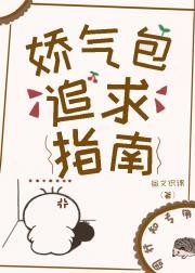 娇气包追求指南封面