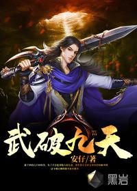 武破九天封面
