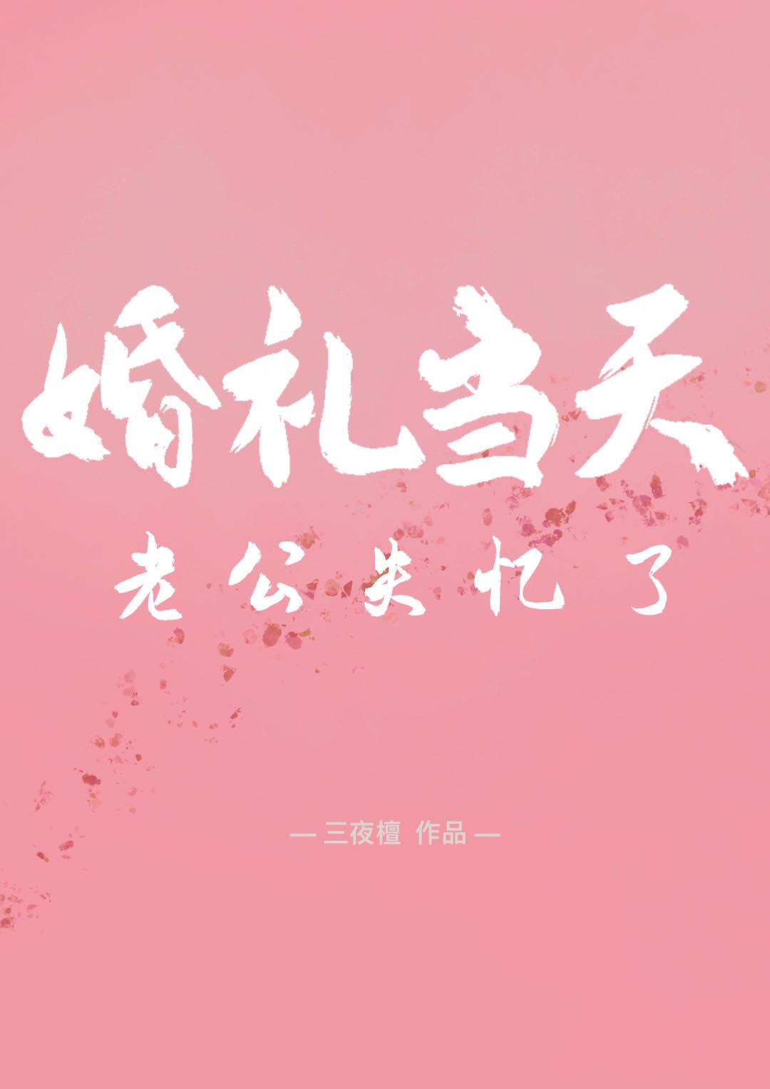 婚礼当天老公失忆了封面