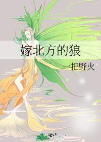 嫁北方的狼封面
