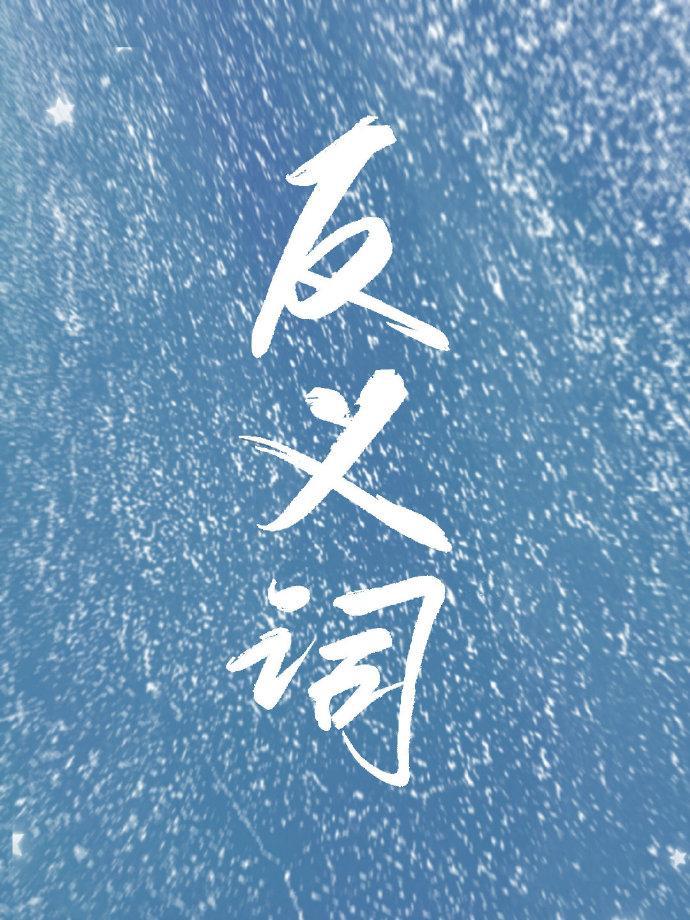 反义词封面