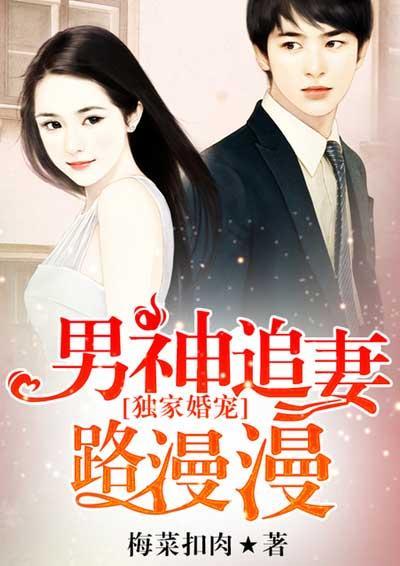 独家婚宠：男神追妻路漫漫封面