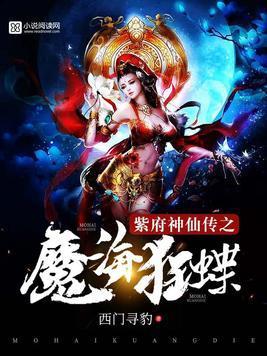 紫府神仙传之魔海狂蝶封面