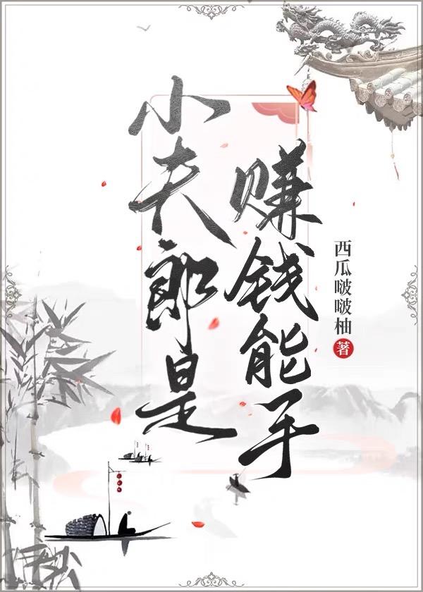 小夫郎是赚钱能手封面