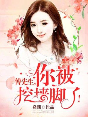 傅先生，你被挖墙角了！封面