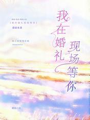 我在婚礼现场等你封面