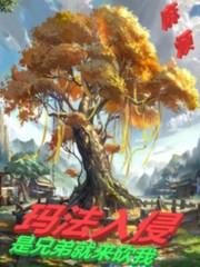 玛法入侵：是兄弟就来砍我封面