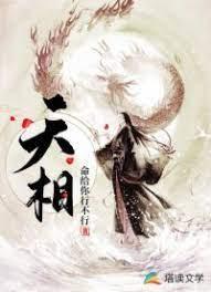 天相封面