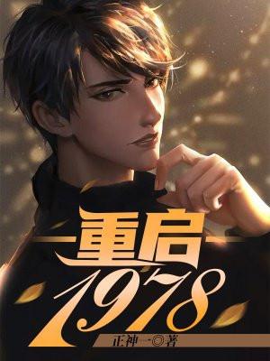 重启1978封面