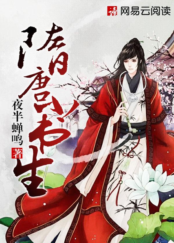 隋唐小书生封面