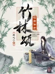 竹林颂：嵇康传奇封面