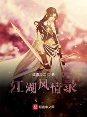 江湖风情录封面
