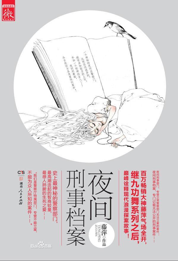夜间刑事檔案封面