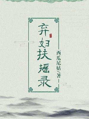 弃妇扶摇录封面