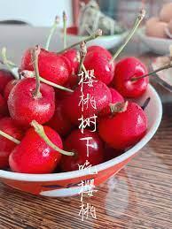 樱桃树下吃樱桃封面
