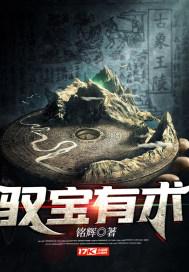 驭宝有术封面