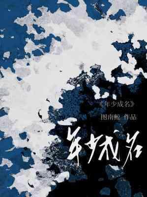 年少成名封面