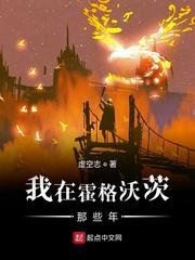 我在霍格沃茨那些年封面