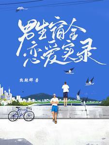 男生宿舍恋爱实录封面