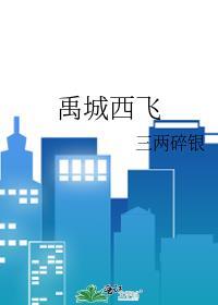 禹城西飞封面