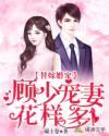 替嫁婚宠：顾少宠妻花样多封面