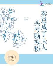秦总成了夫人头号脑残粉封面