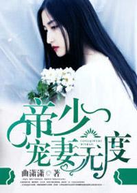 帝少宠妻无度封面