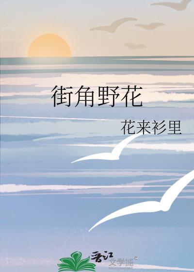 街角野花封面