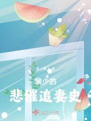 裴少的悲催追妻史封面