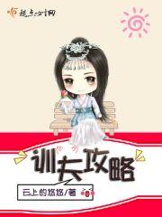 训夫攻略封面