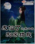 成仙了别来找我封面
