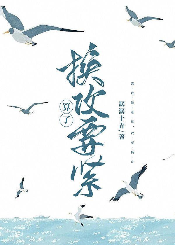 算了，换攻要紧封面