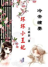 引发五国之乱：坏坏小王妃封面