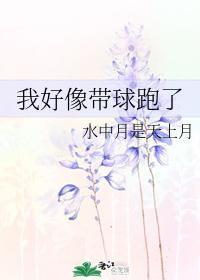 我好像带球跑了封面