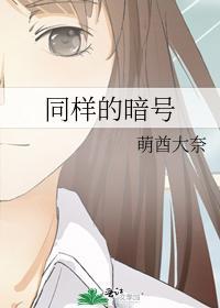 同样的暗号封面