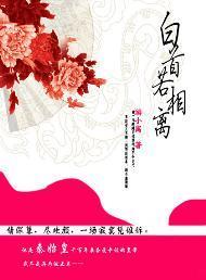 白首若相离封面