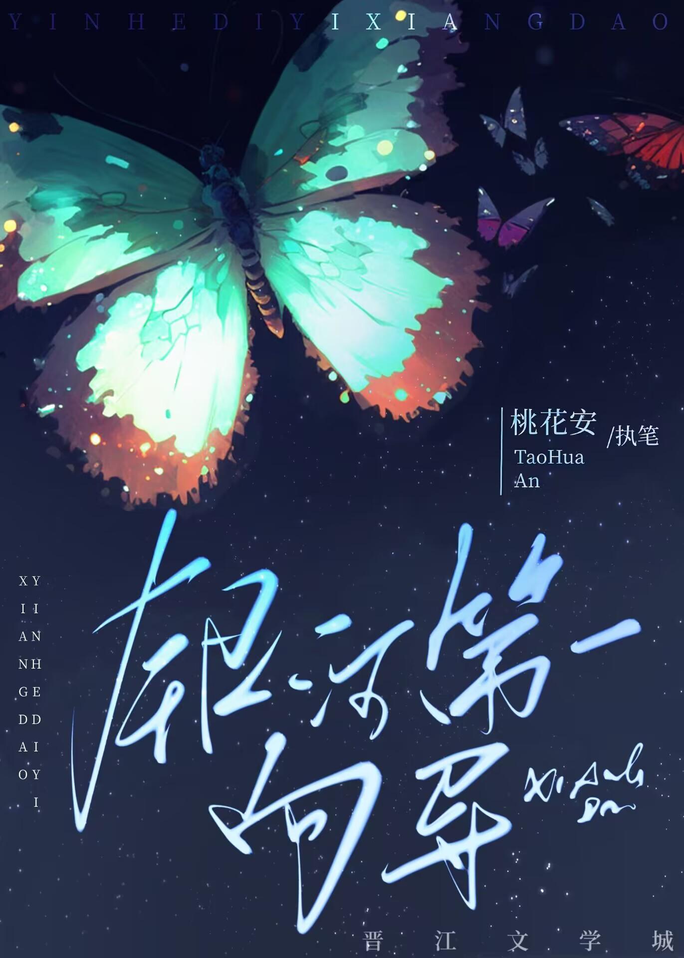 银河第一向导封面