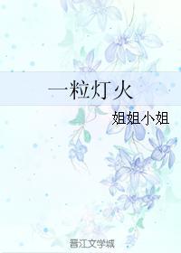 一粒灯火封面