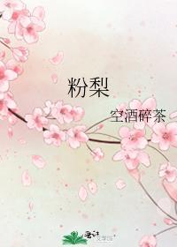 粉梨封面