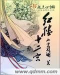 红楼十二宫封面