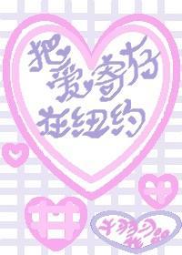 把爱寄存在纽约封面