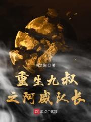夫人，将军又疯了封面