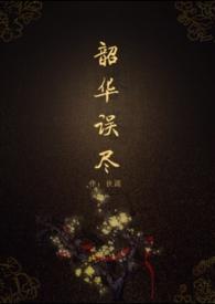 韶华误尽封面