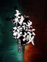 南疆谜城封面