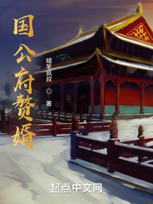 国公府赘婿封面