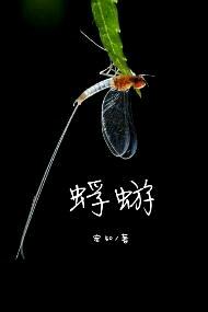 蜉蝣写的小说日月在怀封面