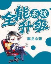 全能升级系统封面