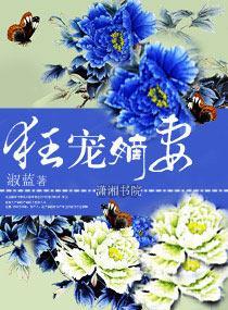 狂宠嫡妻封面